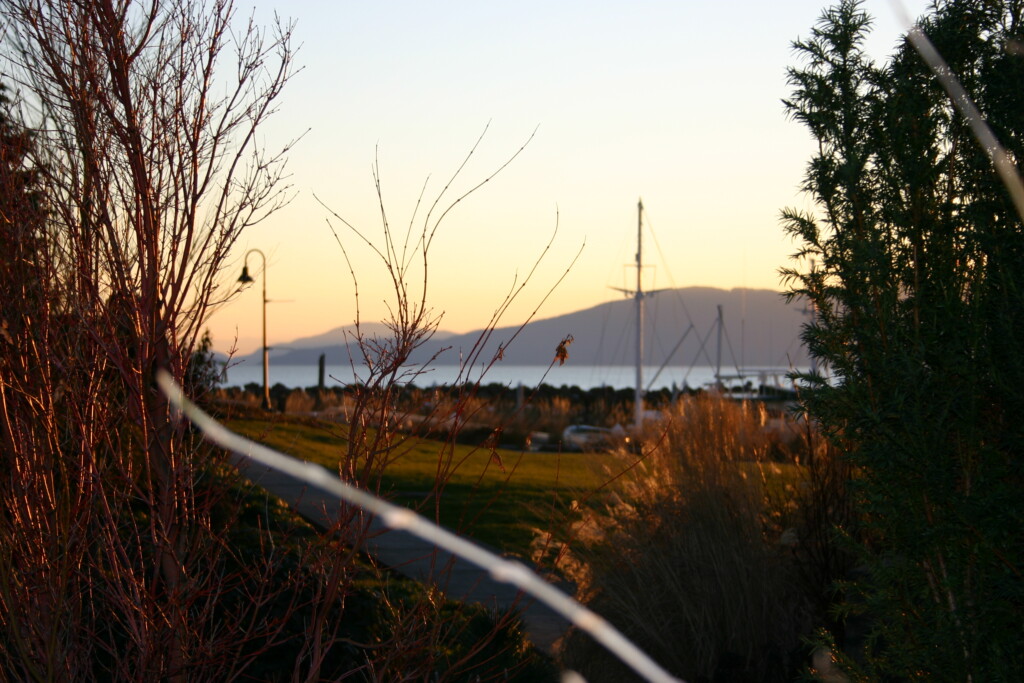 bellingham hearthfire view