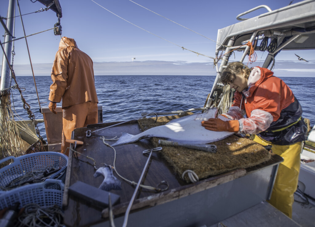 201505 Cleaning Halibut JR 1