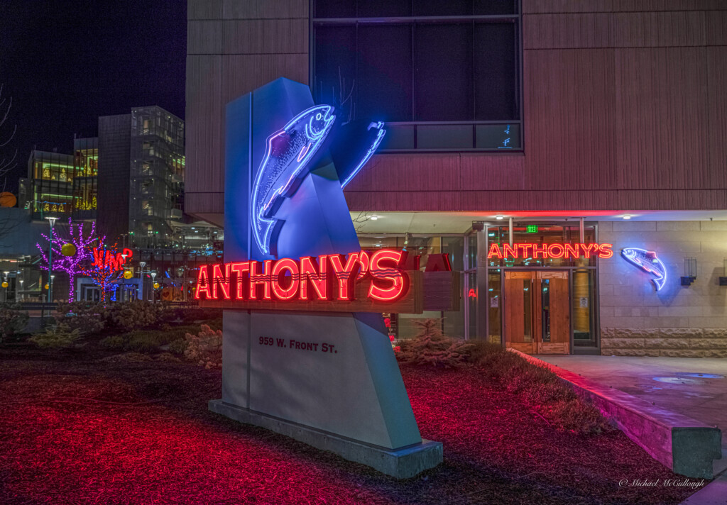 Anthonys 102