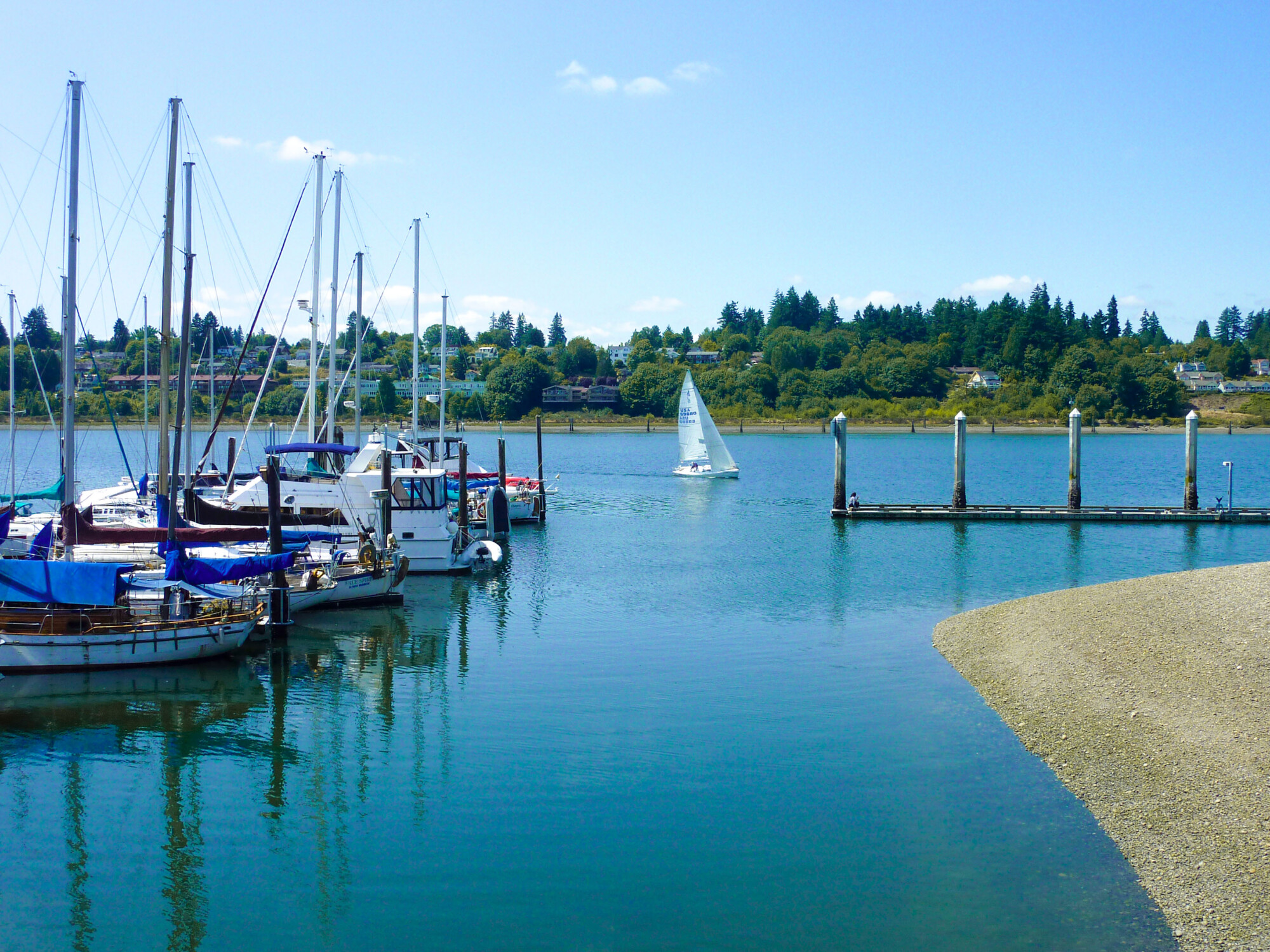 Anthony's Homeport | Olympia