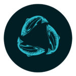 Sustainability-WebsiteColors